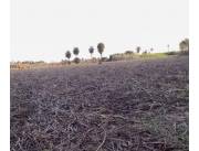 Terreno Rural en Villeta sobre Ruta - 7 Ha.