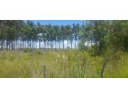 Terreno Rural en Villeta - 4 Ha.