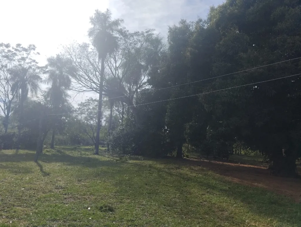 10 HECTAREAS EN NUEVA COLOMBIA — foto 3