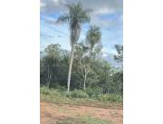 Terreno Rural en Altos - 4 Ha.