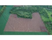 Terreno Agrícola Mecanizado en Hohenau - 6 Ha.