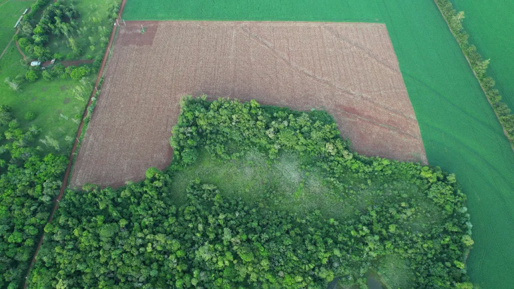 TERRENO EN HOHENAU DE MAS DE 6 HECTAREAS — foto 3