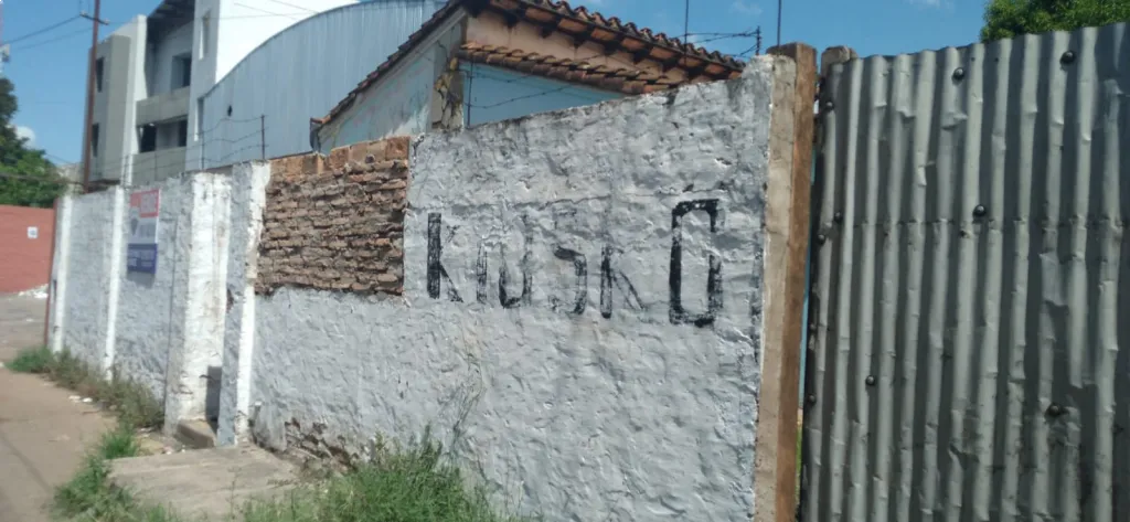 OFERTA!! Sobre la Av. Madame Linch vendo amplio terreno — foto 3