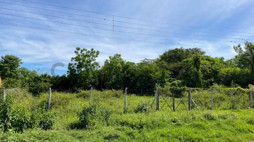 VENDE Terreno en Zarate Isla, Luque — foto 2