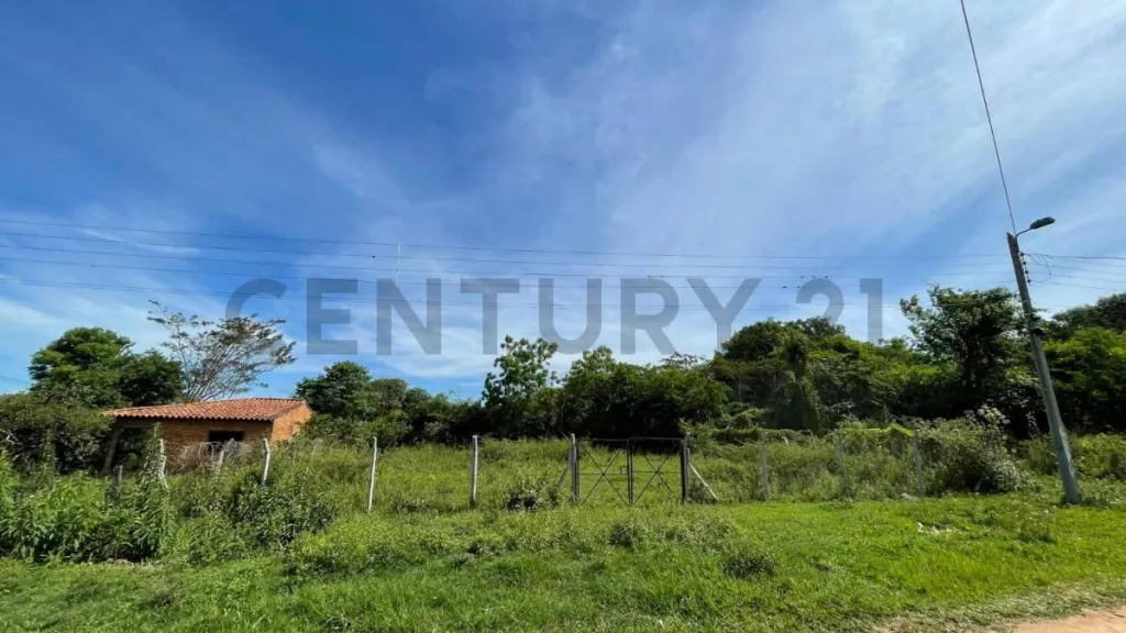 VENDE Terreno en Zarate Isla, Luque — foto 3
