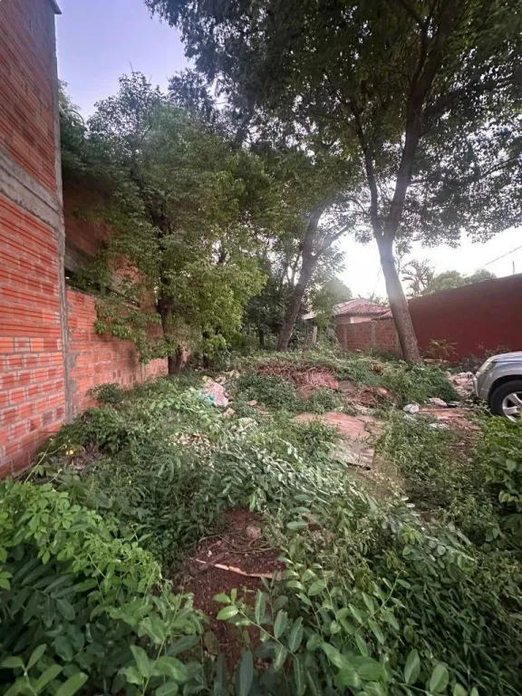 EN VENTA TERRENO EN LOMA MERLO LUQUE SOBRE AVENIDA AMERICA — foto 2
