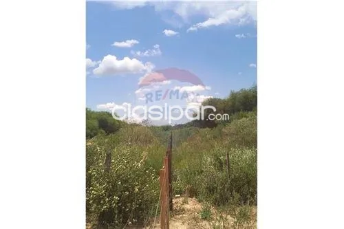 EstanciaCampo-Venta-PY Boquerón Mariscal José Felix Estigarribia — foto 2