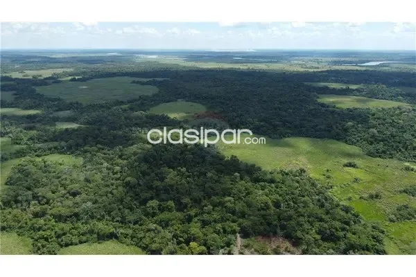 Campo AgrícolaGanadero en San Pedro del Ycuamandiyu - 399 Ha. — foto 3