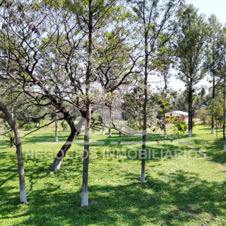 Propiedad de 20 hectáreas Zona Cerro Mbatovi, Ciudad de Paraguari — foto 2