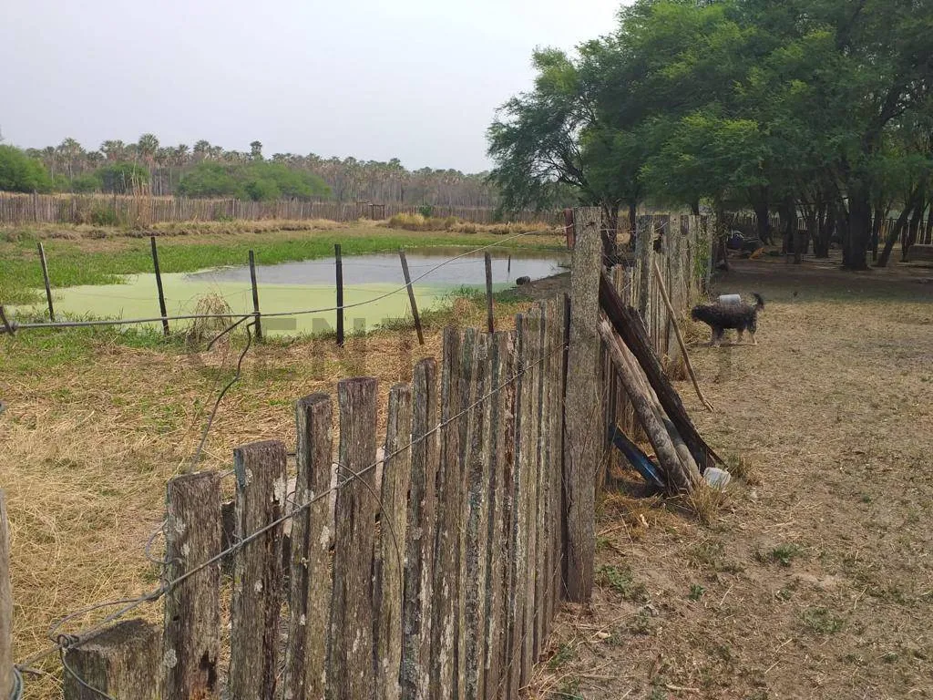 Vendo estancia en Benjamin Aceval - Chaco — foto 2