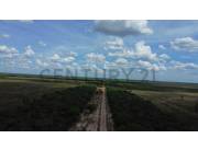 Vendo campo en Loma Plata - Chaco