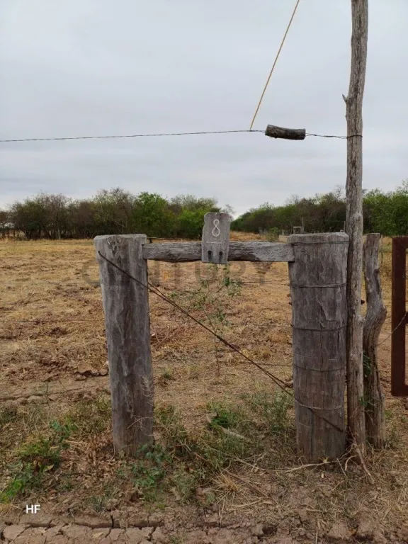 Vendo campo en Loma Plata - Chaco — foto 2