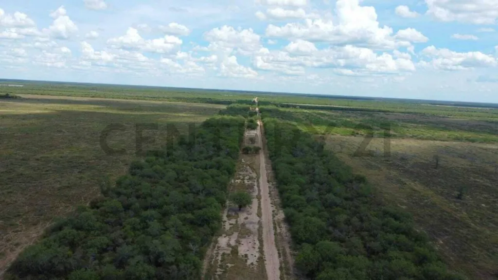 Vendo campo en Loma Plata - Chaco — foto 3