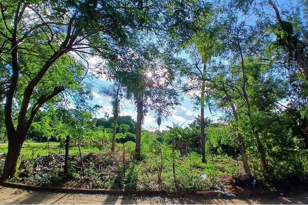 VENDO TERRENO EN LUQUE LAURELTY — foto 2