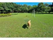 VENDO CASA CON ARROYO EN LOMA GRANDE