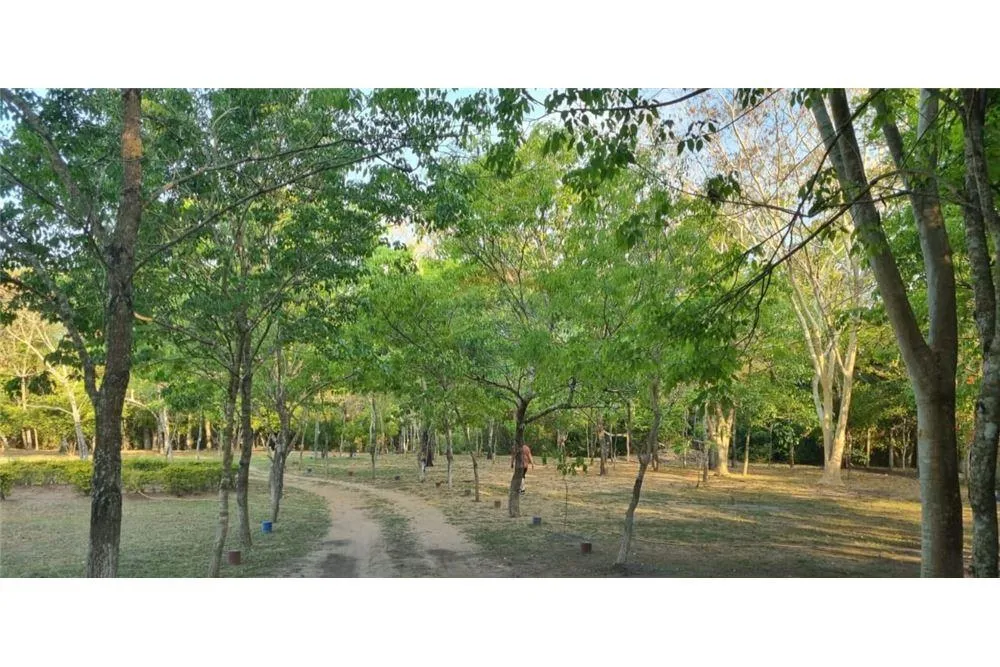 VENDO CASA CON ARROYO EN LOMA GRANDE — foto 3