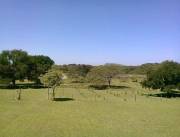 Campo Ganadero en Luque - 52 Ha.