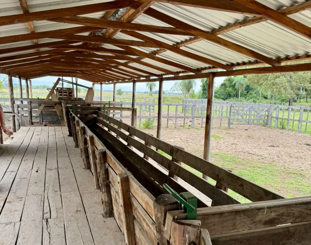 Campo AgrícolaGanadero en San Pedro del Ycuamandiyu - 876 Ha. — foto 2