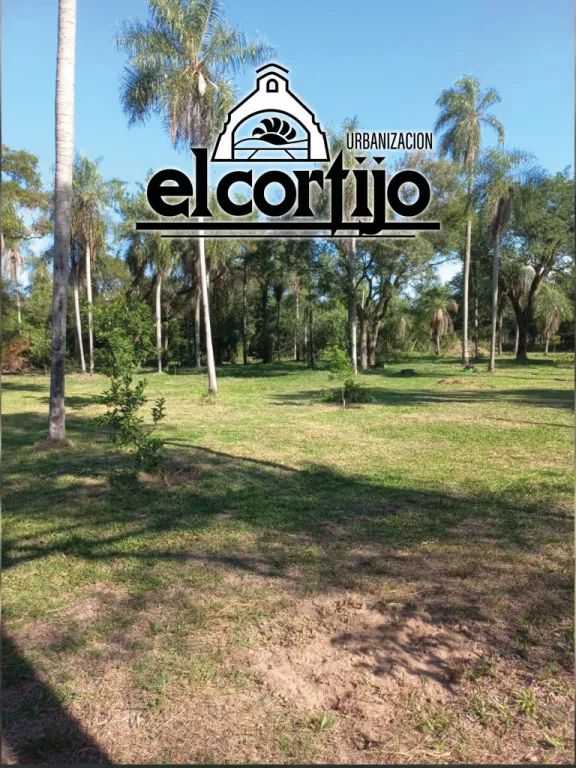 800M2 EL CORTIJO, IMPONENTE TERRENO ARBOLADO, CONEXION DE AGUA, PLANO, ALTO, BELLO,UNICO!! — foto 3