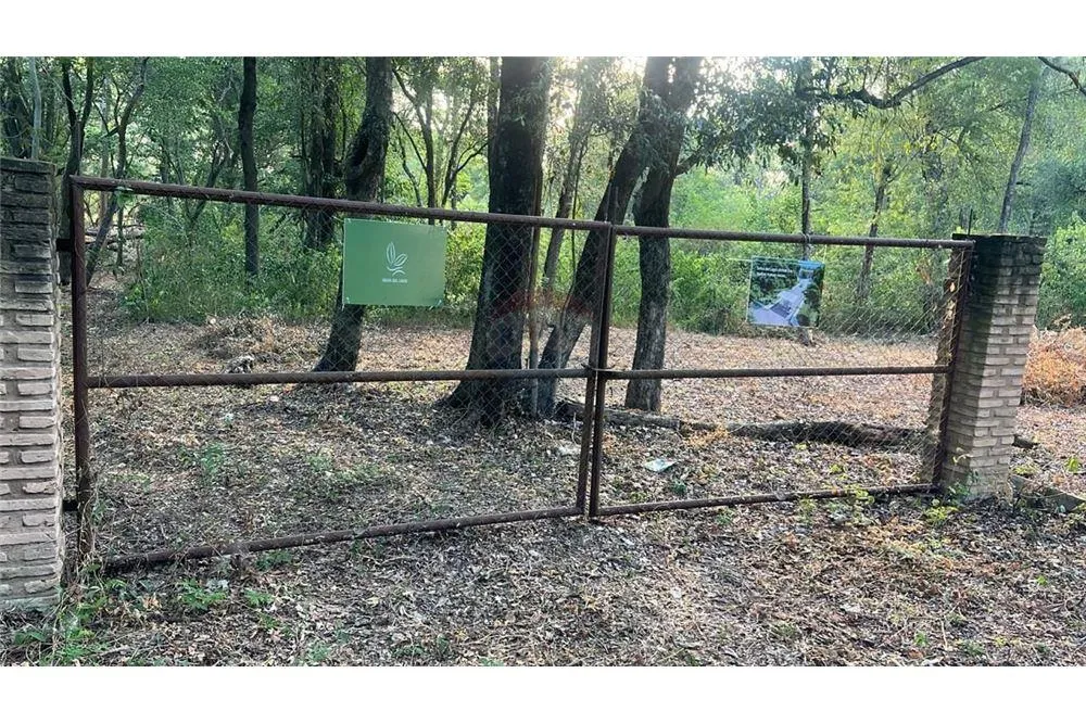 VENDO TERRENO 1 HECTAREA-SAN BERNARDINO-PASOS DL LAGO YPACARAI Y CERCA NUEVO CLUB NAUTICO — foto 3