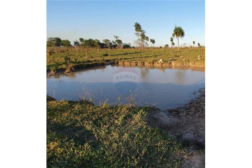 EN VENTA 60 HAS EN SANTA ROSA — foto 2