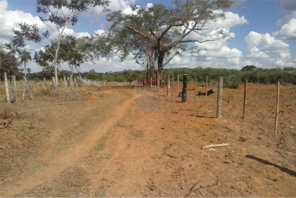 EN VENTA 60 HAS EN SANTA ROSA — foto 3