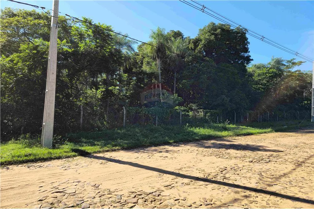 VENDO Terreno 4.5Hectareas-San Bernardino Zona Alta-BO.CRISTOBAL COLON SEMPEDRADO — foto 2