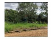 VENDO TERRENO EN SAN IGNACIO MISIONES