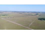 En venta Estancia Agricola en San Pedro distrito de 25 de Dic. ID 33389