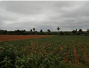 VENDO TERRENO DE 15 HA. Nueva Italia - Compañía Tacuara