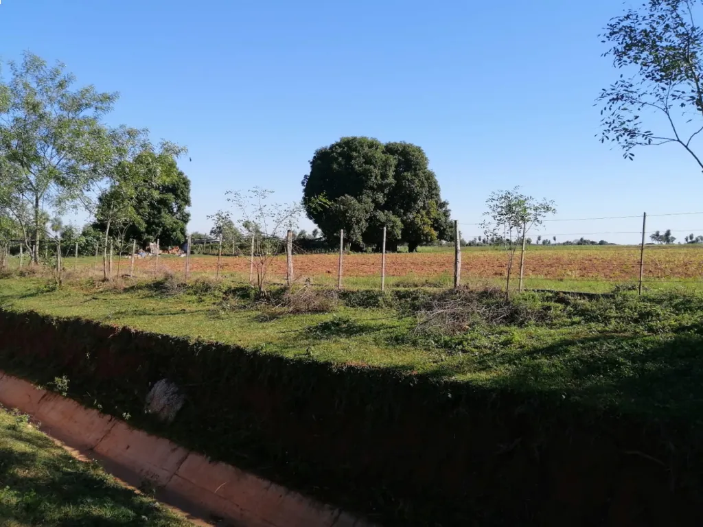 VENDO TERRENO DE 15 HA. Nueva Italia - Compañía Tacuara — foto 2
