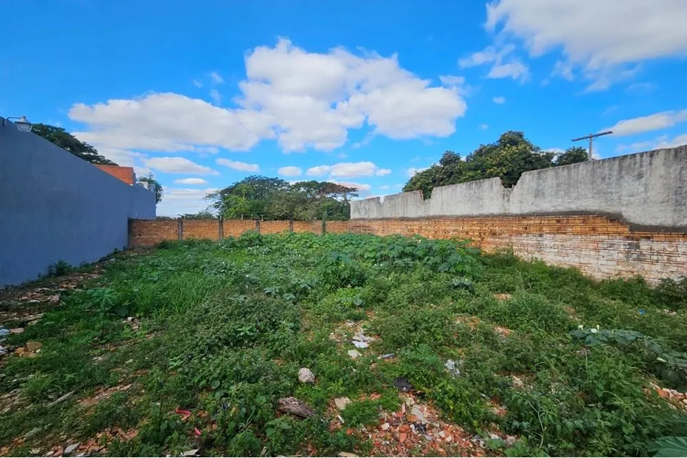 VENDO TERRENO EN FERNANDO SUR ZONA TRES BOCAS — foto 3