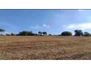 Terreno Rural en Capitan Miranda - 8 Ha.