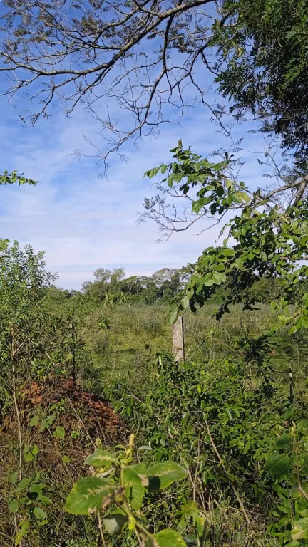 Vendo 5.7 hectáreas en mbocayaty del Guiará — foto 3