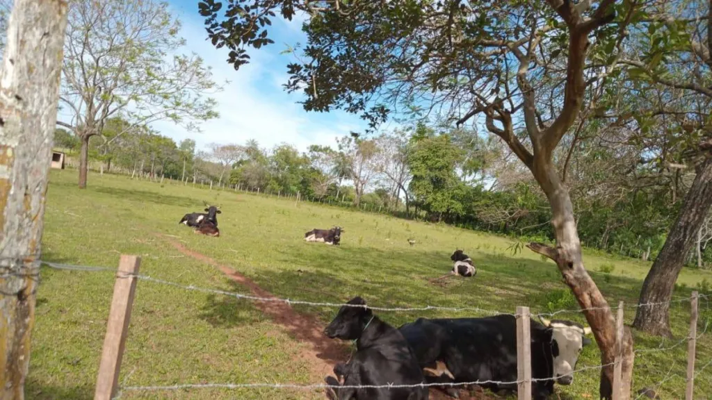 En Venta Granja en Piribebuy ID 36484 — foto 2