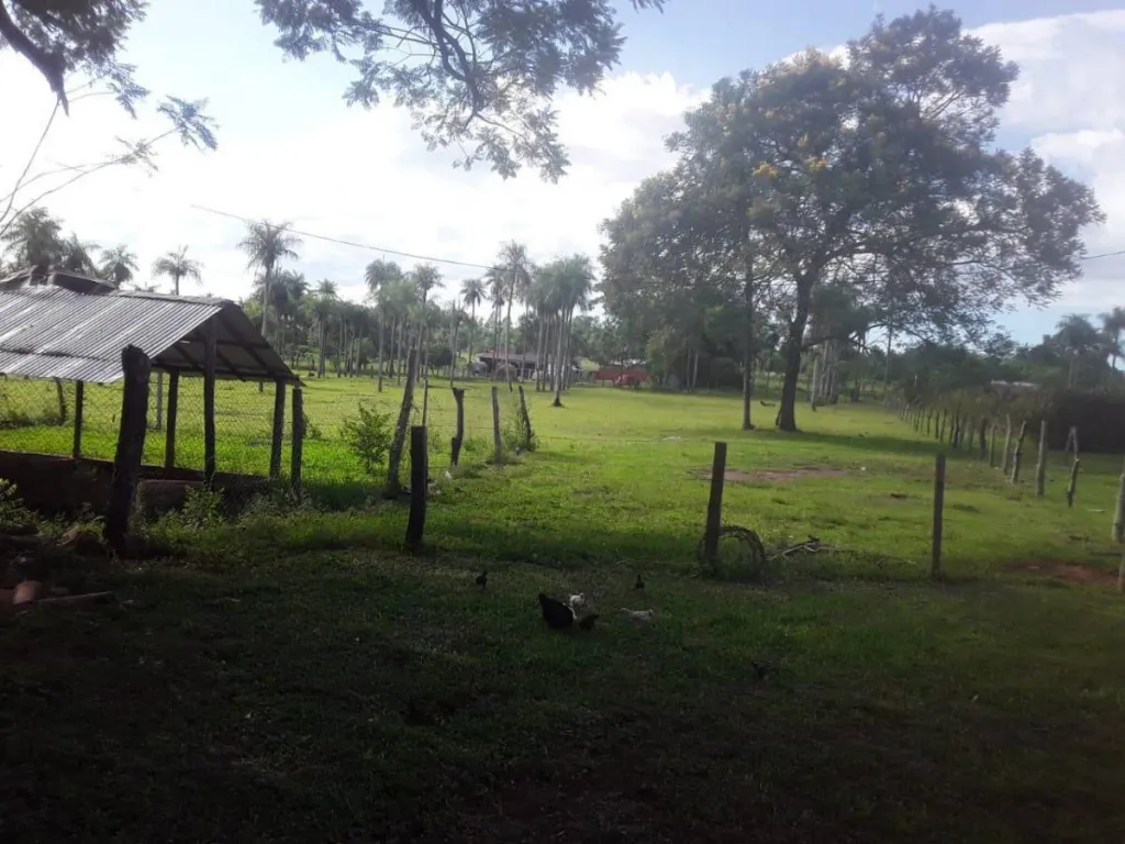 En Venta Granja en Piribebuy ID 36484 — foto 3