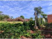 TARUMANDY, LUQUE, CAMINO SANBER: 3 LOTES MULTIUSO, 360M2 C/U, UBICACIÓN IDEAL.