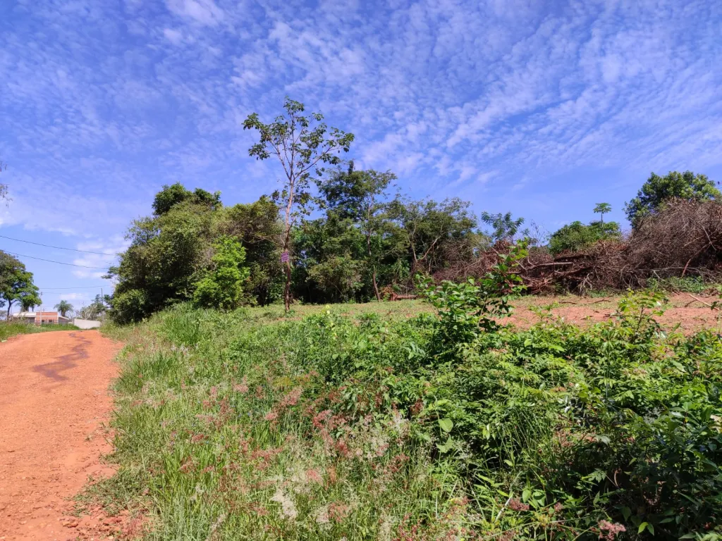 TARUMANDY, LUQUE, CAMINO SANBER: 3 LOTES MULTIUSO, 360M2 CU, UBICACIÓN IDEAL. — foto 3