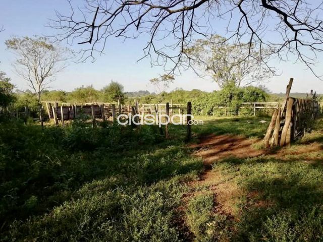 Propiedades rurales - Terreno Agrícola/Ganadero en General Artigas - 27 Ha.