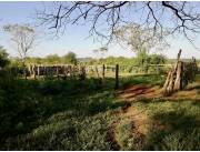 Terreno Agrícola/Ganadero en General Artigas - 27 Ha.