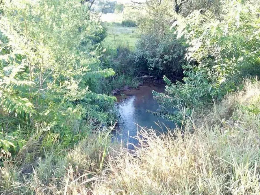 Terreno AgrícolaGanadero en General Artigas - 27 Ha. — foto 3