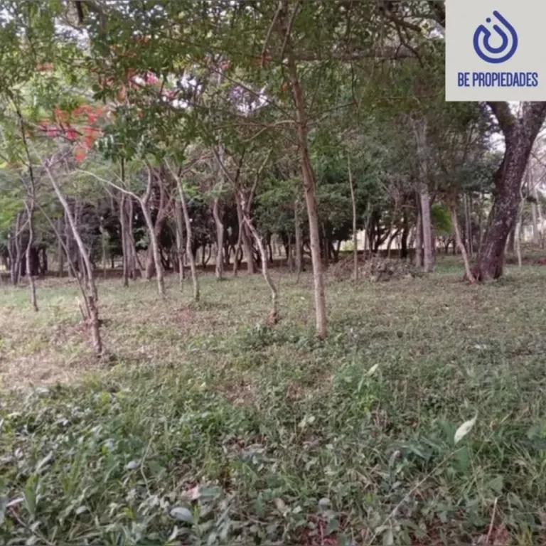 VENDO ESPECTACULAR TERRENO EN ALTOS!!!.. — foto 2