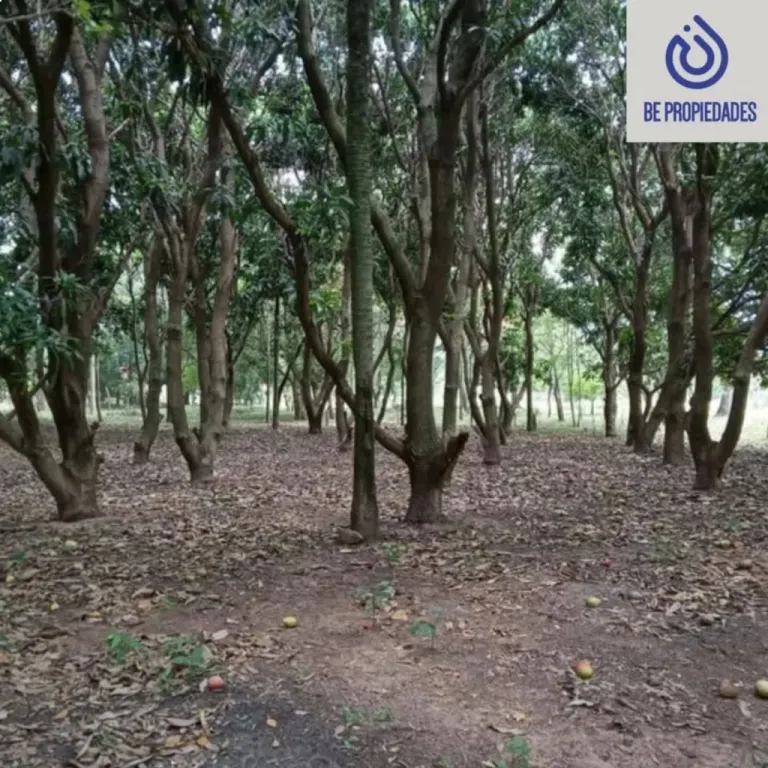 VENDO ESPECTACULAR TERRENO EN ALTOS!!!.. — foto 3