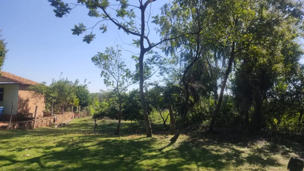 HERMOSO TERRENO EN LA CUIDAD DE ALTOS — foto 2