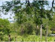 🏞️ Terreno con Excelente ubicación en Caacupe en Venta