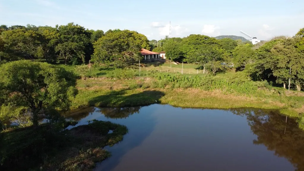 🌿 ¡Un paraíso natural en pleno Caacupé! adlerpy 391🌿 — foto 2