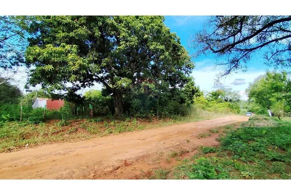 Terreno en Venta: Luque — foto 3