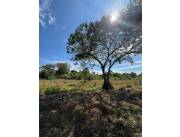 Vendo 7,2 hectáreas en Arroyos y Esteros 🌳🤩 - Recibo Vehículo 📍Zona Ita Piru - Cerca a