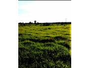 Vendo Campo de 1.328 Hectáreas en San Pedro - CLCS7066737