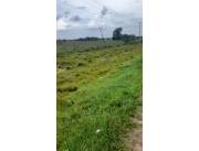 TERRENO SOBRE RUTA EN YPANÉ 2.468M2